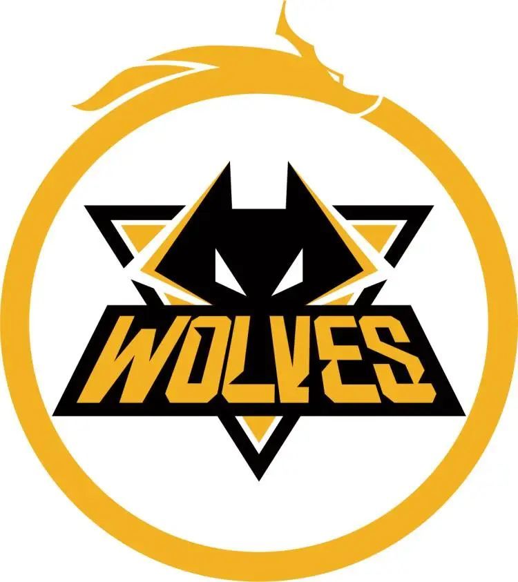 朱凯谈到 Invictus Gaming 教练：他在原则上有问题，我对Daeny的印象不好